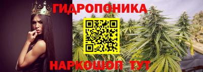 СК Северобайкальск