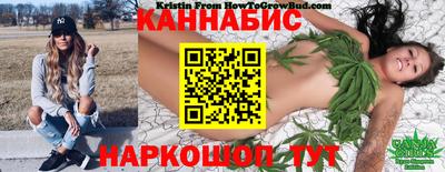 индика Свободный