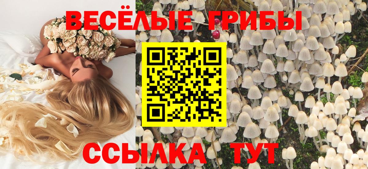 Петрозаводск  Галлюциногенные грибы ЛСД  Галлюциногенные грибы мухоморы  закладки  Вход с VPN 