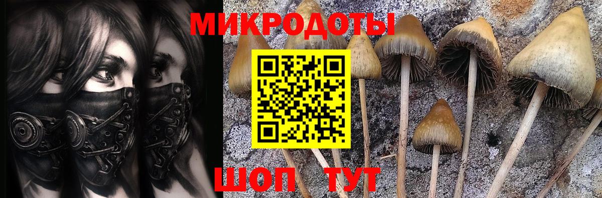 Псилоцибиновые грибы ЛСД Петрозаводск
